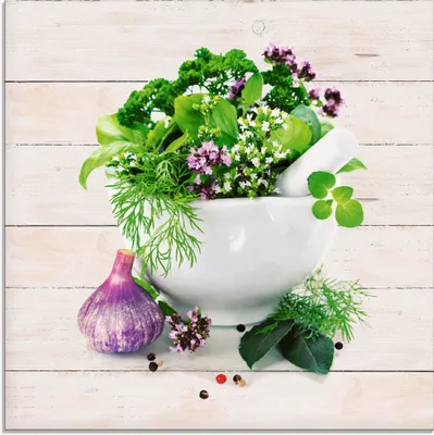 Produktbild von ARTland Glasbild Heilkräuter auf weißem Hintergrund Küche Größe: 30x30 cm