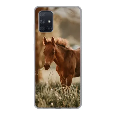 Produktbild von MuchoWow® Handyhülle Schutzhülle Hülle für Samsung Galaxy A51 5G Pferd - Licht - Wiese Silikon Softcase Handy Hülle - Abbildung