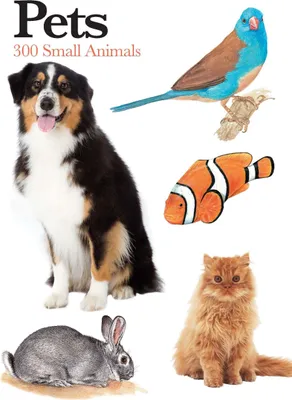 Produktbild von Pets