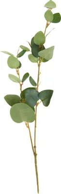 Produktbild von Künstliche Eukalyptus-Pflanze grün ca. 48 cm