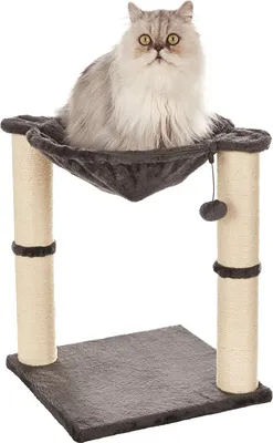 Produktbild von Katzen-Kratzbaum mit Haus, Hängematte, Bett und Kratzstamm, 41 x 51 x 41 cm, grau