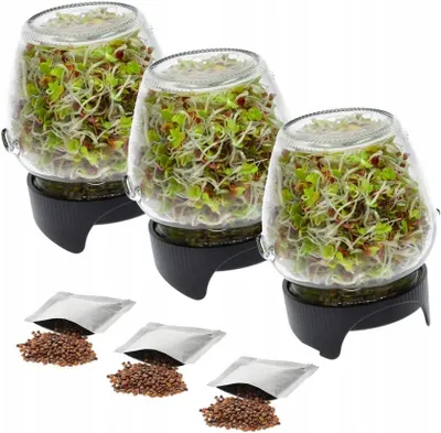 Produktbild von 3 X KEIMBOX Keimgarten, Keimgerät, Keimglas Twist-Off + Radieschensamen
