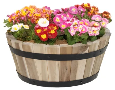 Produktbild von Pflanzgefas/Blumentopf Barrel - Akazienholz - braun - D33 x H14 cm