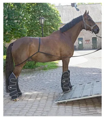 Immagine prodotto di Aiuto al carico di Waldhausen