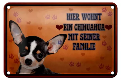 Produktbild von Blechschild Spruch 18x12cm Hund hier wohnt ein Chihuahua