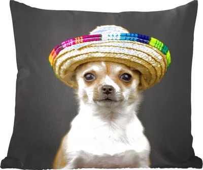 Produktbild von MuchoWow® Zierkissen Sofakissen Wohnzimmer Dekokissen 60x60 cm Hund - Sombrero - Schwarz - Sitzfläche - Foto Polster
