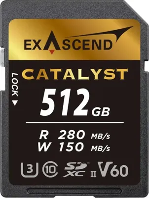 Image de ExAscend Catalyst UHS-II V60 Carte mémoire 512 Go