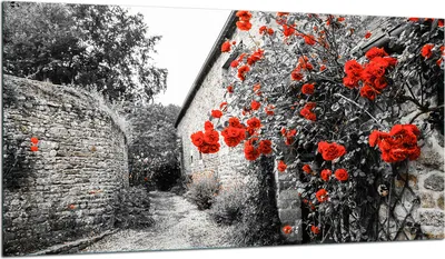 Produktbild von Herdabdeckplatte Glaskeramikkochfeld-Abdeckung Spritzschutz Glas 90x52 Blumen