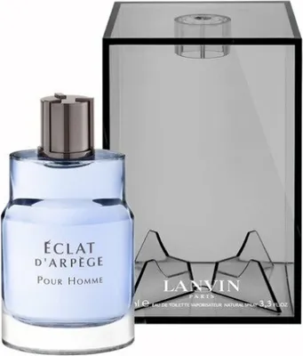 Image de Lanvin Éclat d'Arpège Pour Homme Eau de Toilette pour homme 100 ml