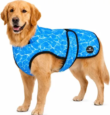 Imagen del producto de Koelvest para perros - Talla XL - Acolchado - Transpirable - Azul