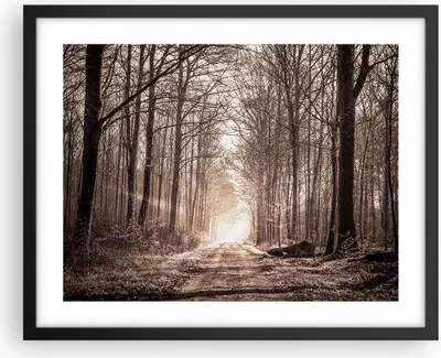 Produktbild von Gerahmtes Poster - Schwarzer Rahmen - Wald Straße Baum - 50x40 cm - Wand Bild - Wanddeko - Wandbilder - Kunstposter - Wandposter - Bilderrahmen - Bilder - Kunstdruck - Wandbild - P2BAA50x40-3620