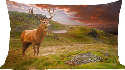Produktbild von MuchoWow® Zierkissen Sofakissen Wohnzimmer Dekokissen 50x30 cm Hirsche - Berge - Natur - Wohnzimmerdekoration - Polster mit Photo