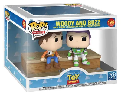 Produktbild von FUNKO POP! Disney Vinyl Figur Momets Toy Story 30th Anniversary Woody and Buzz 1599