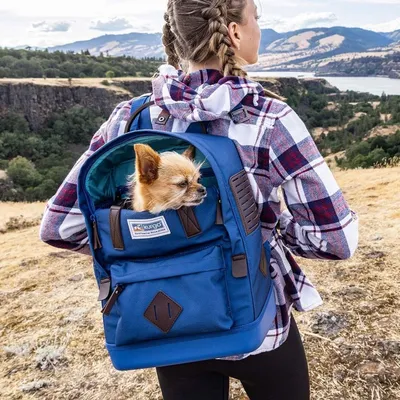 Produktbild von Kurgo Nomad Carrier Backpack Hunderucksack , Farbe:blau