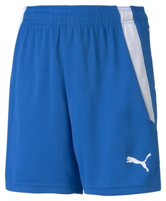 Image de Pantalon Puma Teamliga 70493102