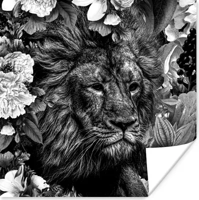 Produktbild von MuchoWow® Poster Löwe - Blumen - Blatt - Schwarz - Weiß 100x100 cm - Babyzimmer