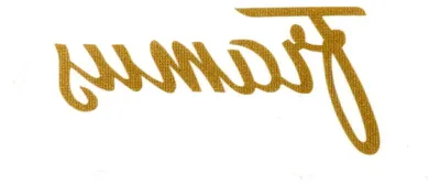 Produktbild von Sticker Headstock Gold