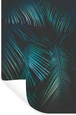 Produktbild von MuchoWow® Wandtattoo Wandsticker Wandaufkleber Palme - Palmenbaum - Tropisch 20x30 cm Selbstklebend und Repositionierbar - Sticker - Dekorfolie