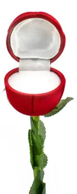 Immagine prodotto di Incantevole scatola di rose KS11