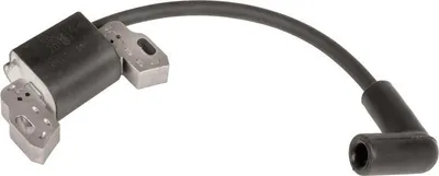 Zdjęcie produktu dla Moduł zapłonowy B&S Series 450E 500E 550E CZĘŚĆ ORYGINALNA