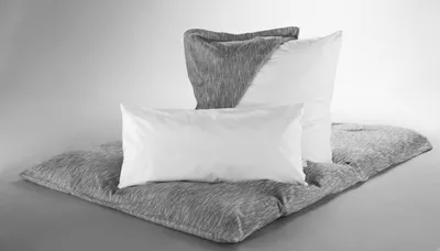 Produktbild von Dormisette by Wülfing - Schutzbezug für Kissen, milbendicht - Größe: 80/80 cm