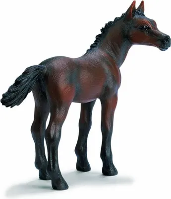 Obrázek produktu pro Schleich 13276 Arabské hříbě