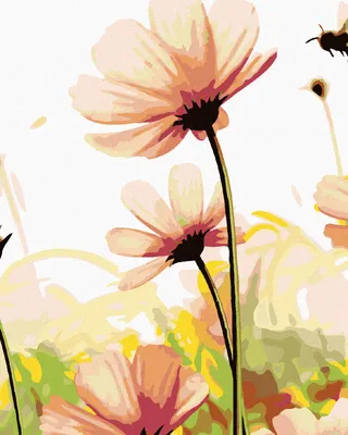 Produktbild von Zuty - Malen nach Zahlen - BLÜTEN AUF DER WIESE, 40x50 cm, ohne Keilrahmen