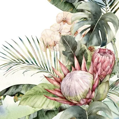 Produktbild von 20 Servietten Protea & Orchids - Exotische Natur im Dschungel 33x33cm