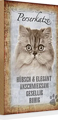 Produktbild von Holzschild Spruch 20x30cm Perserkatze Katze hübsch