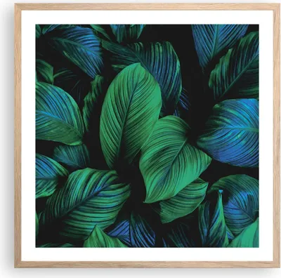 Produktbild von Gerahmtes Poster - Rahmen in heller Eiche - Blätter Pflanzen Exotik - 60x60 cm - Wand Bild - Wanddeko - Wandbilder - Kunstposter - Wandposter - Bilderrahmen - Bilder - Kunstdruck - P2NAC60x60-5066