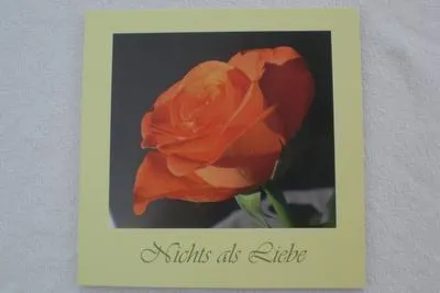 Produktbild von Nichts als Liebe