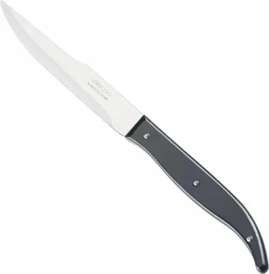 Imagen del producto de STEAK BASIC: Cuchillo para carne, 110/230 mm - color