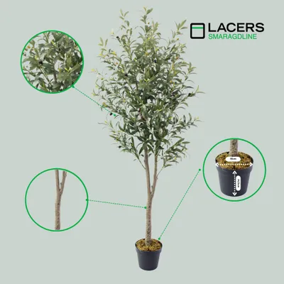 Produktbild von Lacers SMARAGDLINE künstliche Olivenbaum im Topf 180 cm - Dekoration / realistische Optik, Kunstpflanze groß für Wohnzimmer, Balkon und Büroräume