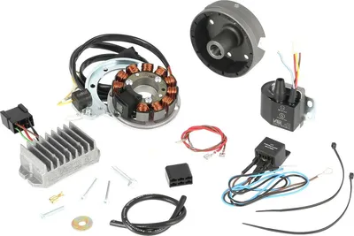 Image de Alternateur + système d'allumage TS250 (4 vitesses + 5 vitesses) 12V 150W