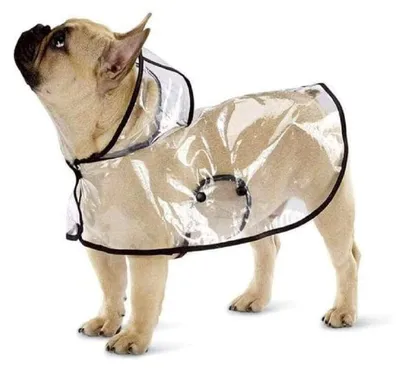 Produktbild von Hunde-Regenmantel mit Kapuze, transparenter Regenmantel für kleine Hunde, wasserdicht, für Welpen, Katzen und Haustiere