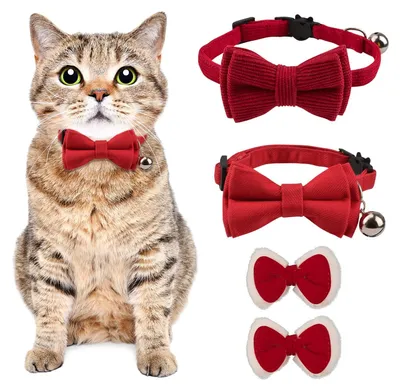 Image de Colliers pour chats, réglables - Lot de 2 - Colliers pour chats avec grelot - Fermeture de sécurité - Fibre de polyester - Confortables et respirants - Collier pour chat