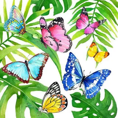Produktbild von RP 20 Servietten Tropical Butterflies - Schmetterlinge im tropischen Wald 33x33cm