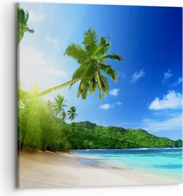 Produktbild von Bild auf Leinwand - Leinwandbild - Baum Dschungel Welle Landschaft - 70x70cm - Wand Bild - Wanddeko - Leinwanddruck - Bilder - Kunstdruck - Wanddekoration - Leinwand bilder - Wandkunst - AC70x70-3169