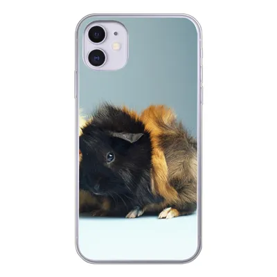 Produktbild von MuchoWow® Handyhülle Schutzhülle Hülle für iPhone 11 Zwei kleine Meerschweinchen Silikon Softcase Handy Hülle - Handytasche