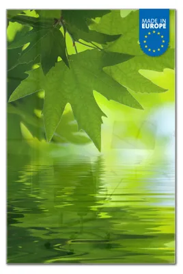 Produktbild von banjado Magnettafel aus Glas, beschreibbar, 50x75cm groß, ESG Sicherheitsglas mit Motiv Blättertraum [MTGH2 10106]