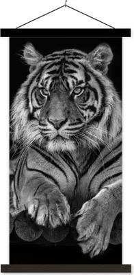 Produktbild von MuchoWow® Textilposter Sumatra-Tiger auf schwarzem Hintergrund 60x120 cm mit schwarzem Rahmen - Magnete