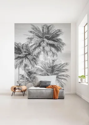 Produktbild von Komar Vlies Fototapete "Cocco" - Größe: 200 x 250 cm (Breite x Höhe), 4 Bahnen