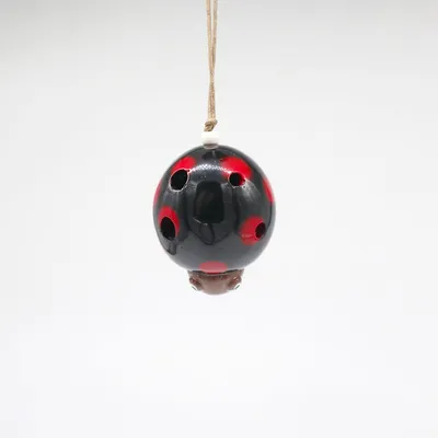 Immagine prodotto di Ocarina musicale a forma di animale - Mariquita