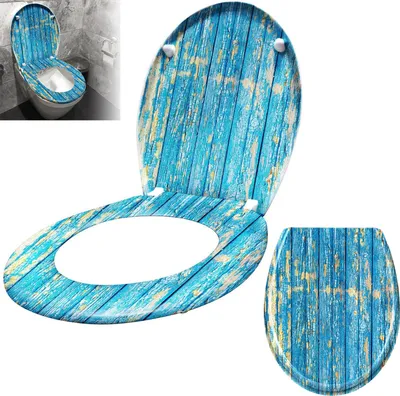 Produktbild von ACXIN WC sedátko s mechanismem soft-close WC sedátko s mechanismem soft-close z duroplastu a nerezové oceli Antibakteriální Snadno se čistí Odnímatelné (modré desky)