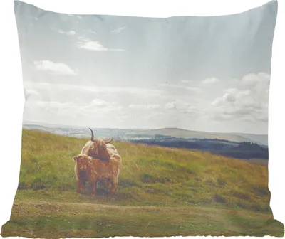 Produktbild von MuchoWow® Zierkissen Sofakissen Wohnzimmer Dekokissen 50x50 cm Schottische Hochlandrind - Gras - Wolken - Tiere - Komfort - Sofakissen