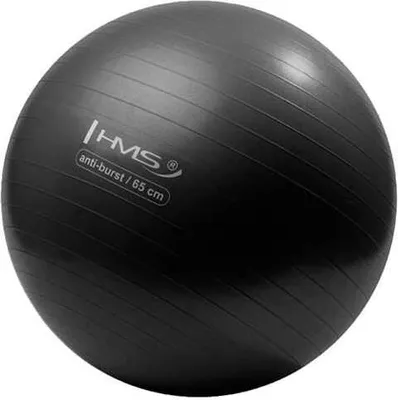 Produktbild von Yb02 Neu 65Cm Schwarz Anti-Burst Gymnastikball Hms