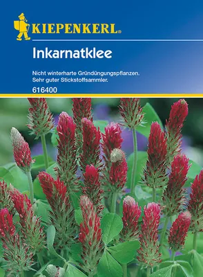 Produktbild von [STREICHUNG 2025] Inkarnatklee Linkarus (75 g) | Gründünger von Kiepenkerl
