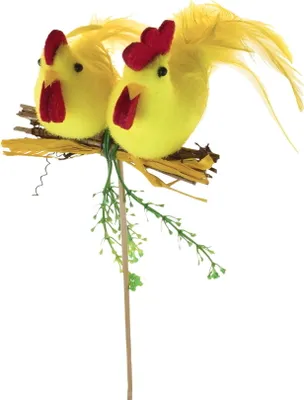 Immagine prodotto di Pollo con galletto sulla schiena