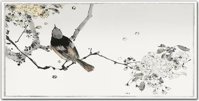 Produktbild von Coloray Küchenrückwand 140x70 Spritzschutz aus Glas - Knoten Tiere Vogel