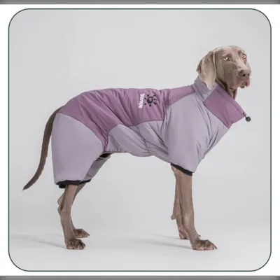 Produktbild von INF XL Lila Hunde Schneeanzug - Winter Warmer, Wasserdicht, Winddicht Mantel